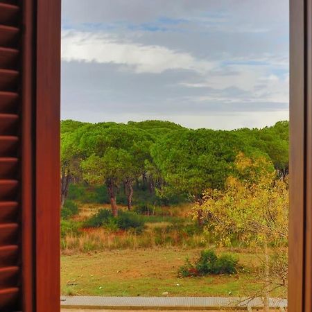 Precioso Apartamento A 700 M Del Mar Chiclana de la Frontera Ngoại thất bức ảnh