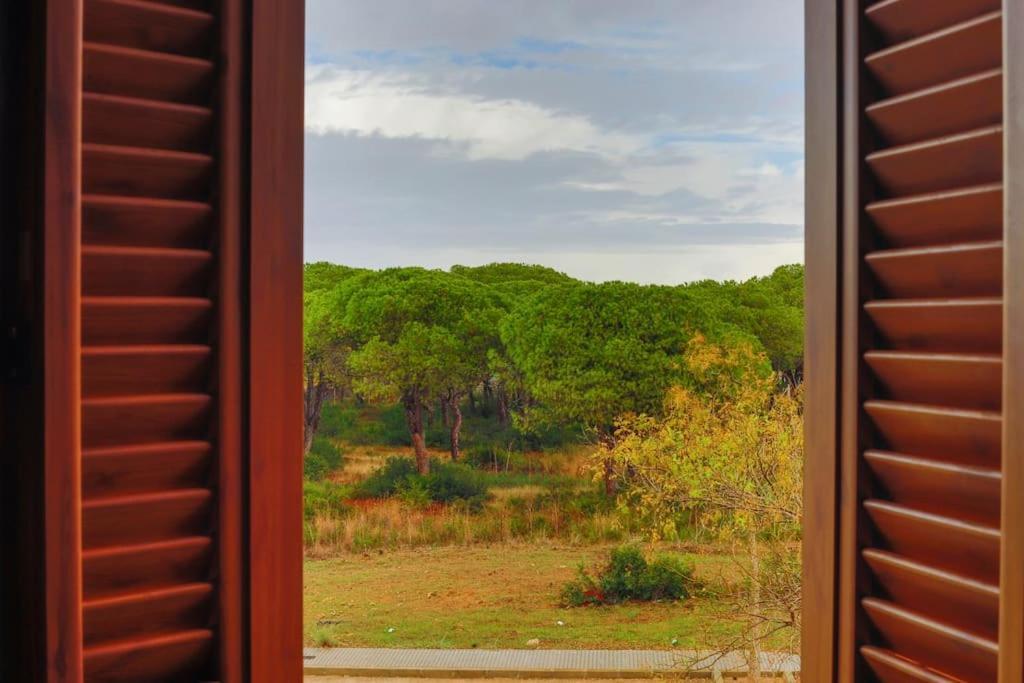 Precioso Apartamento A 700 M Del Mar Chiclana de la Frontera Ngoại thất bức ảnh